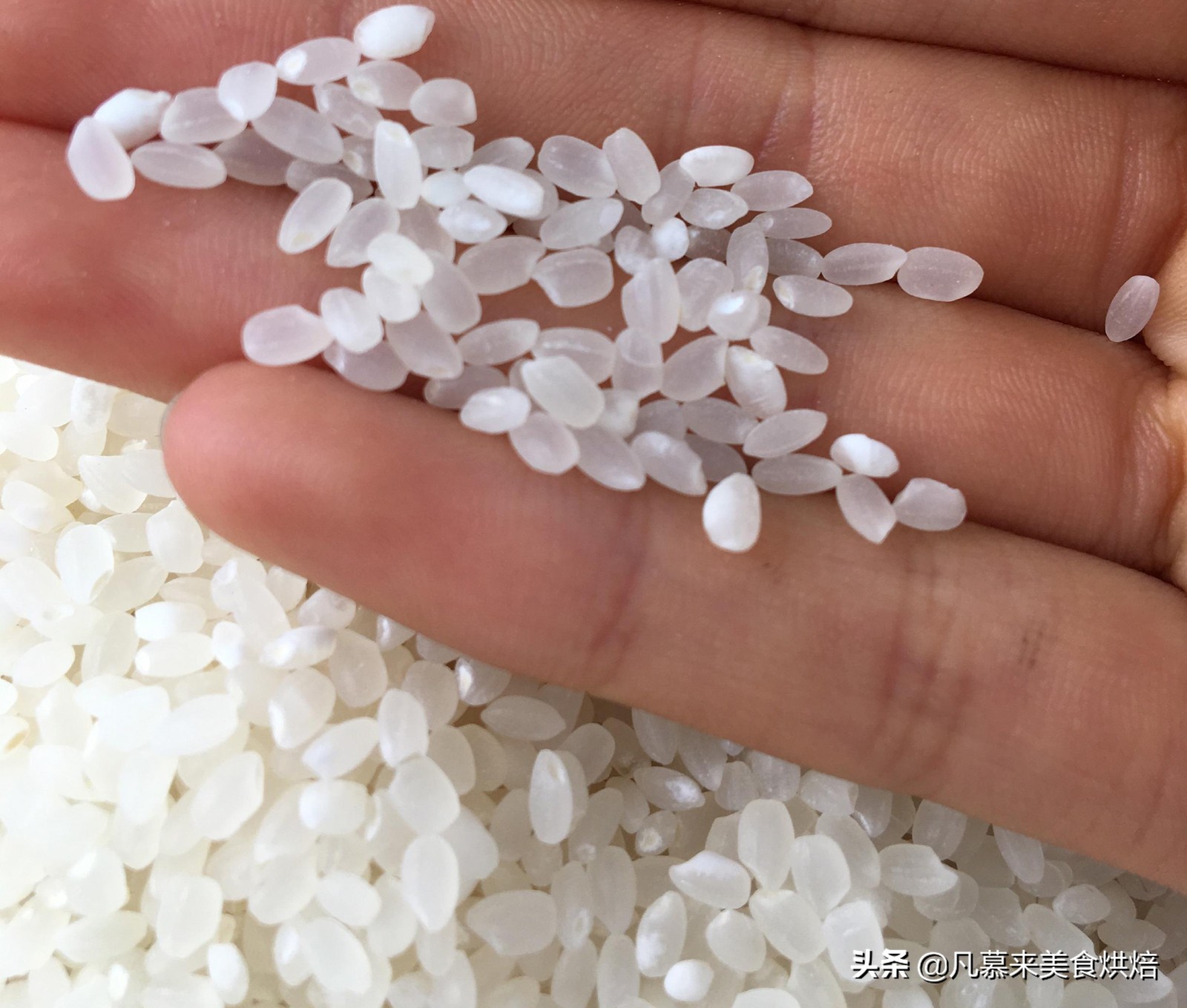 如何选购大米？怎样辨别大米是否是正品？学会这7步保证买正品米