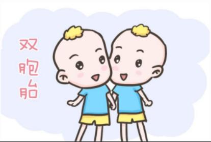 怀双胎和单胎的反应有什么区别,单胎和双胎健康方面区别