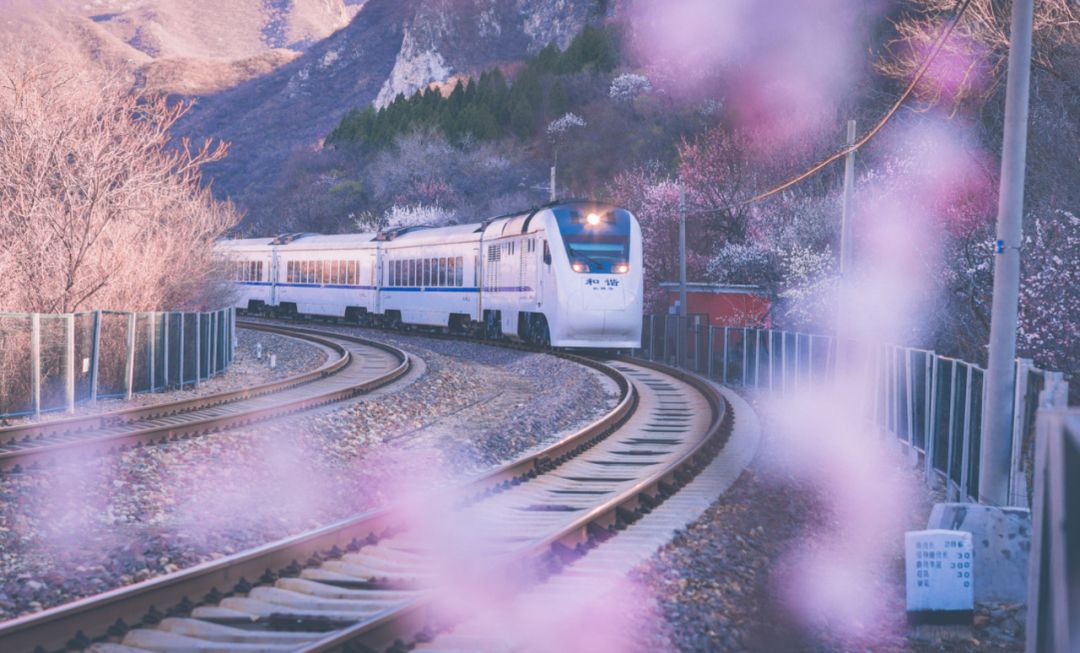 戴口罩的冬天太漫长，差点忘了中国的春天有多美