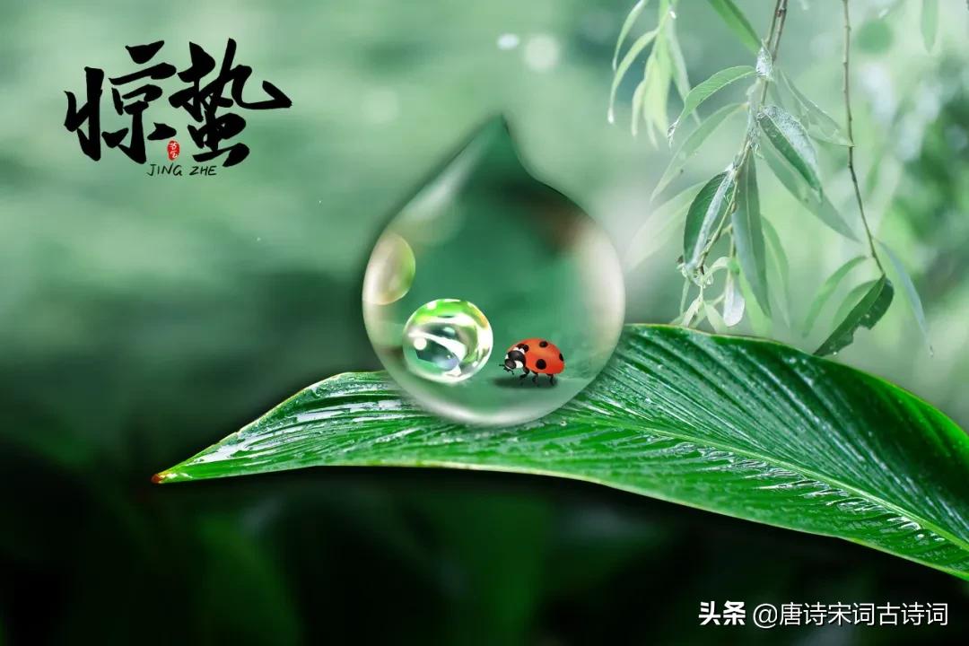 微雨众卉新一雷惊蛰始朗诵,微雨众卉新一雷惊蛰始读音