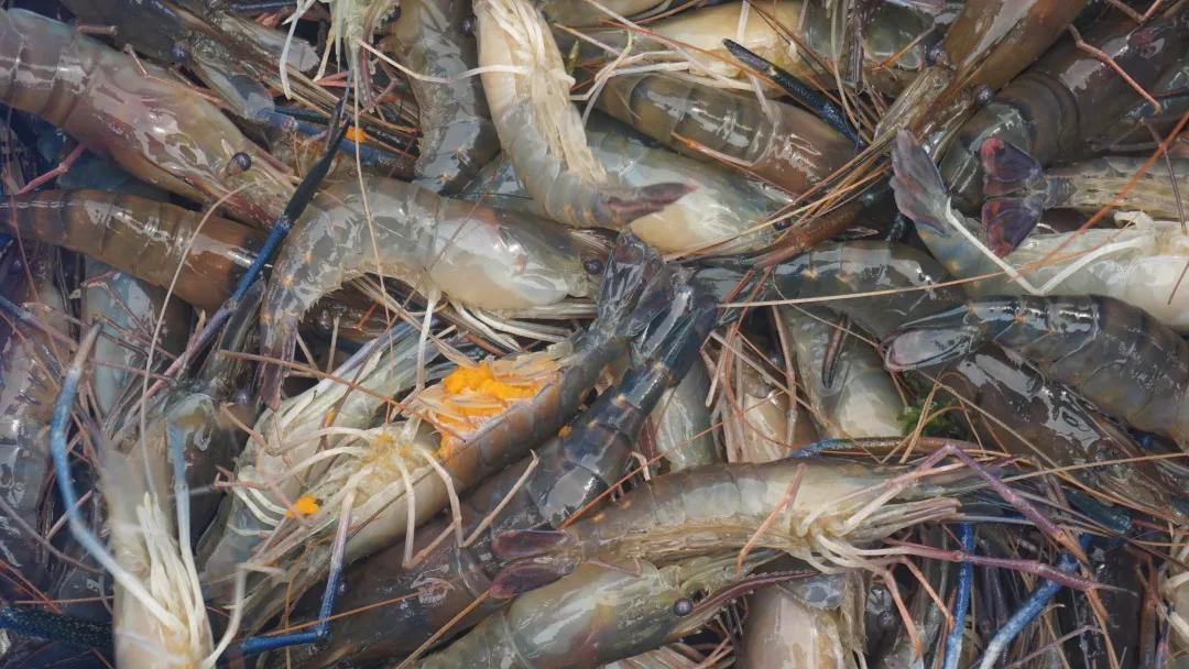 去菜市场吧！|黄沙，负名之下书尽鲜活百态