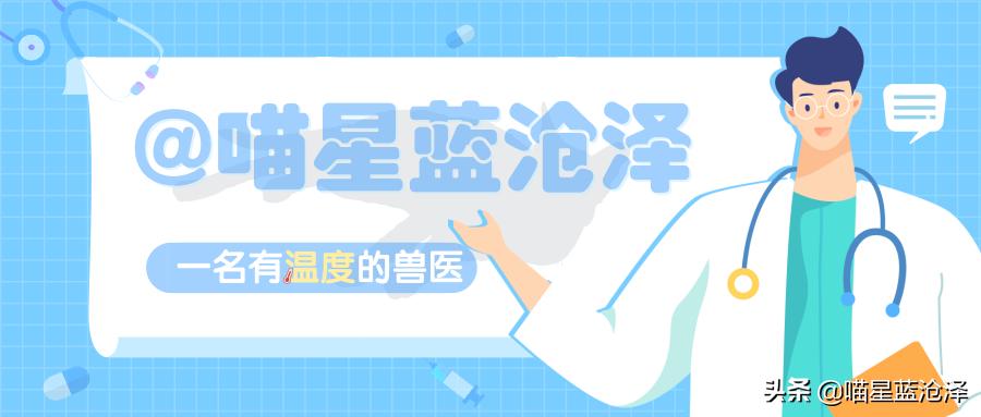 猫砂应该如何挑选好的品牌,猫砂到底该如何选择品牌