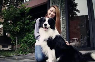 怎么判断狗狗有没有趴蹄,狗为什么喜欢趴蹄