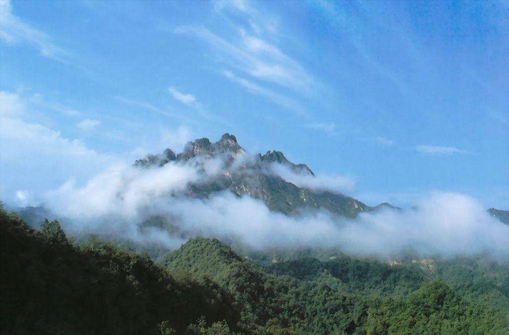 大家好，我叫上高，这是我的简历，以后多多关照