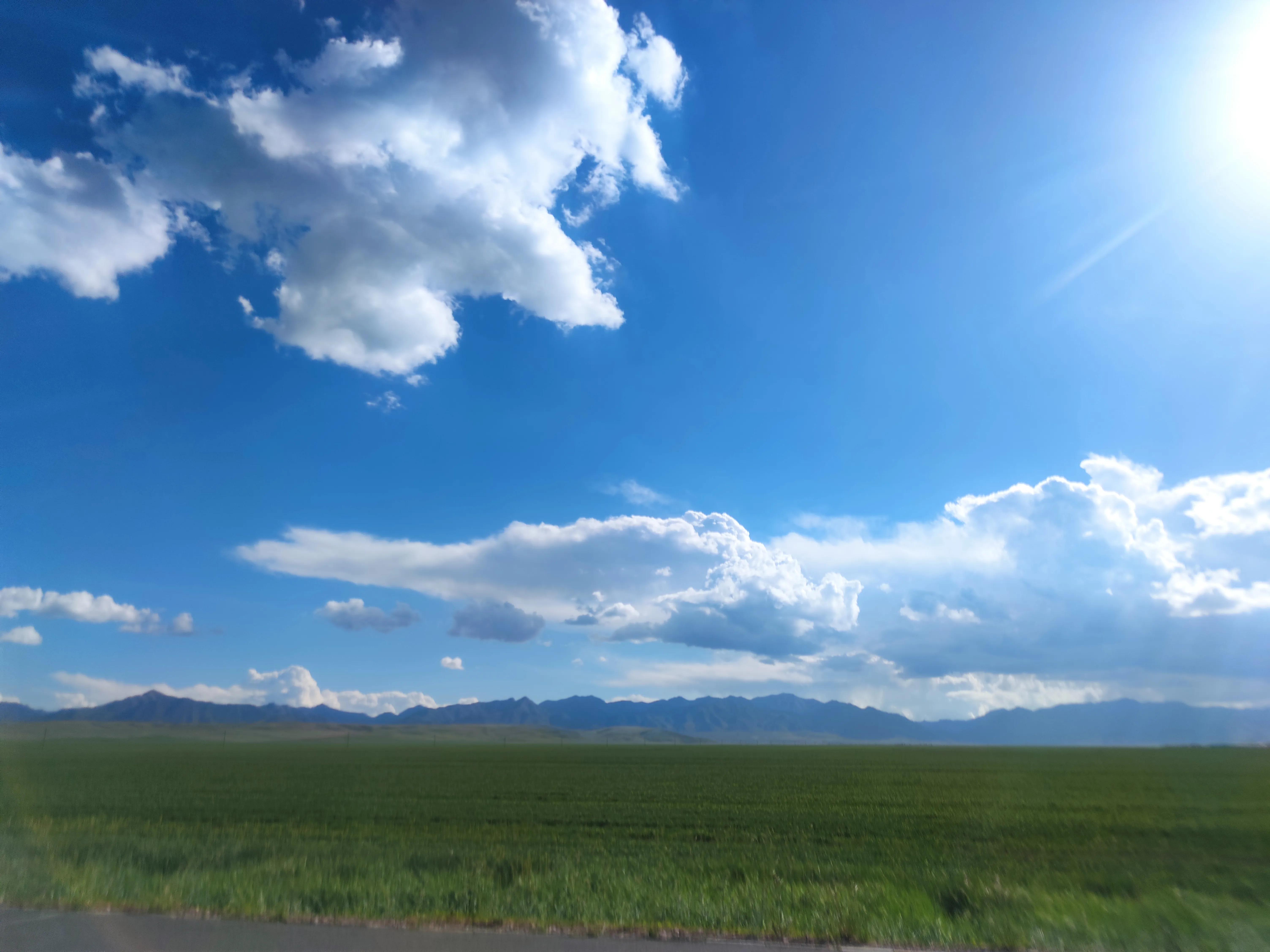 山丹军马场世界第一大军马场,山丹军马场适宜养马的原因