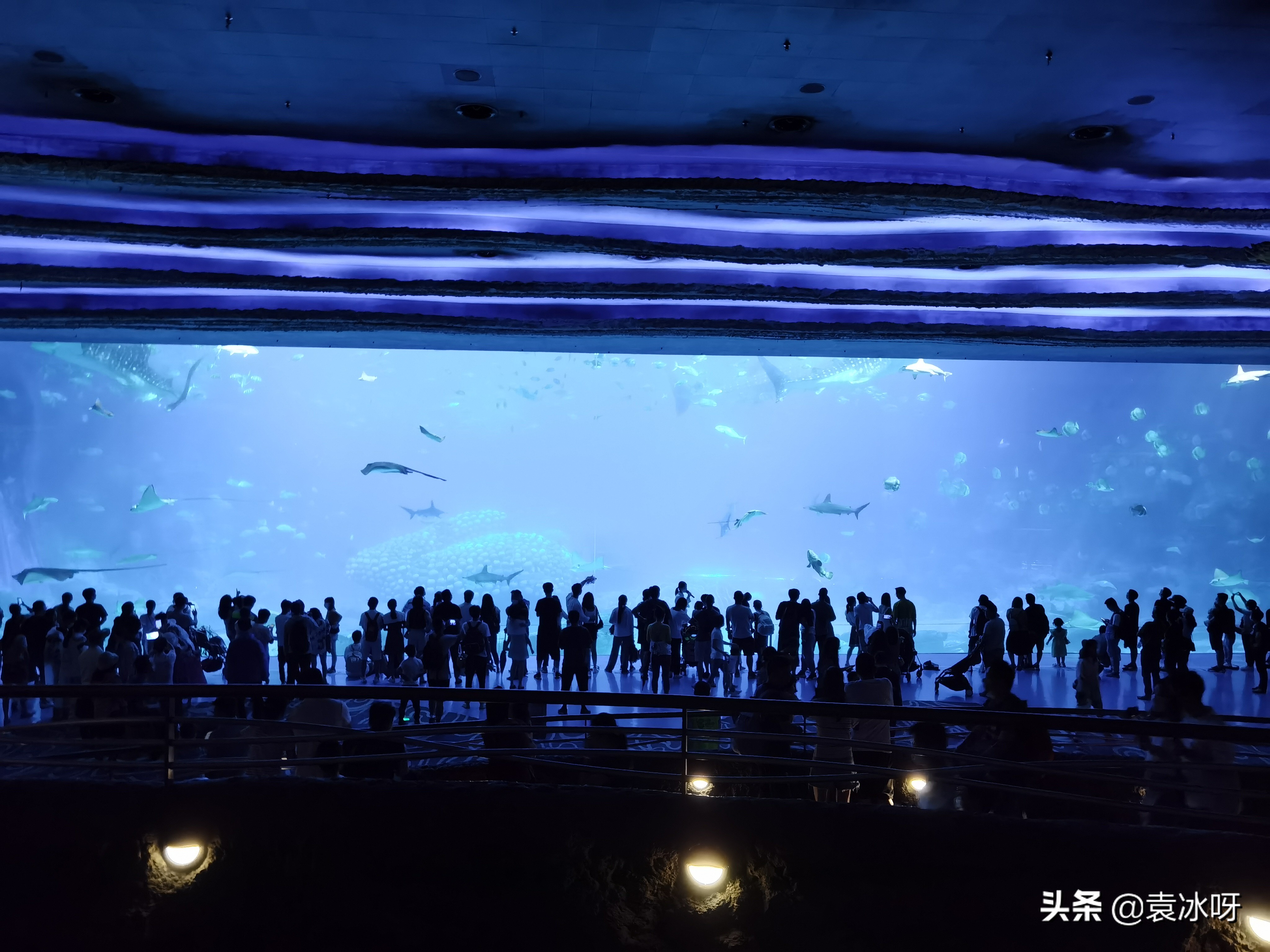 珠海长隆海洋王国一日攻略,珠海长隆海洋王国停车场攻略