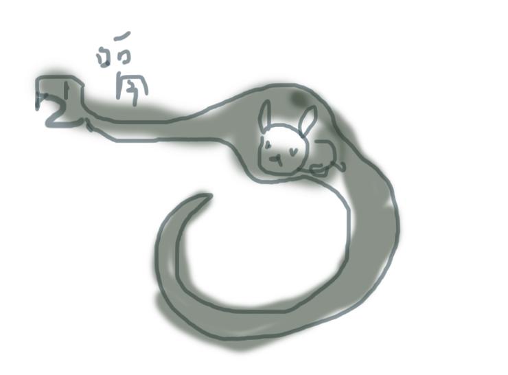 节食还不会消化不良：蟒蛇的秘密