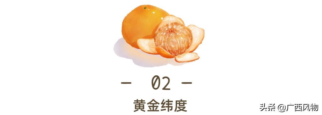 沃柑的最新吃法,沃柑做好看的东西