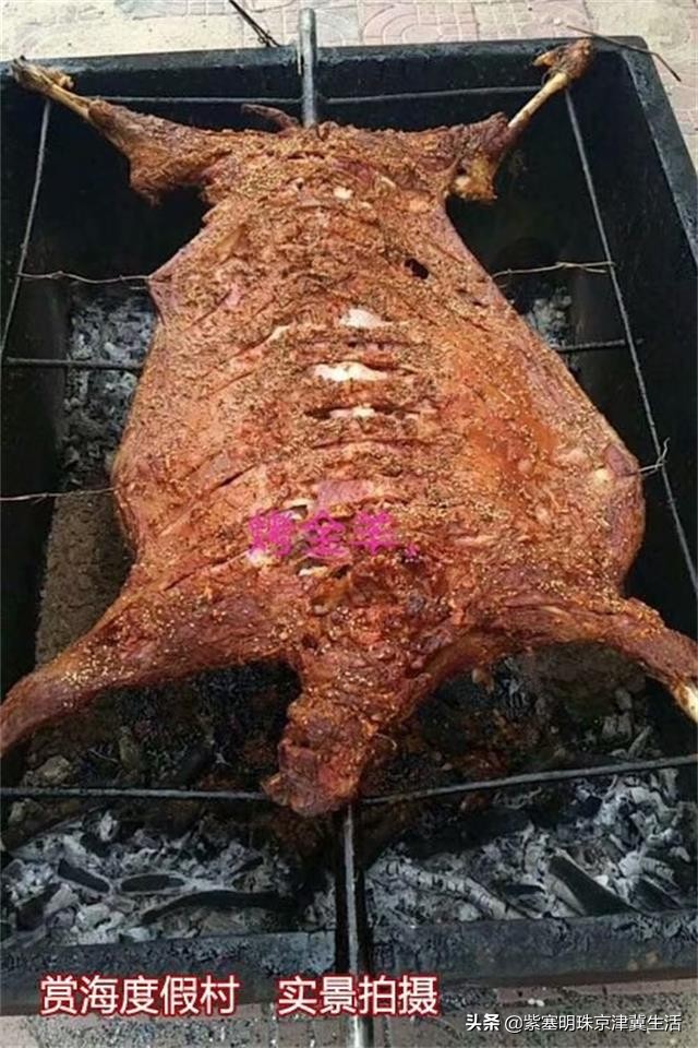 东戴河赏海度假村,东戴河旅行真正的海景度假村