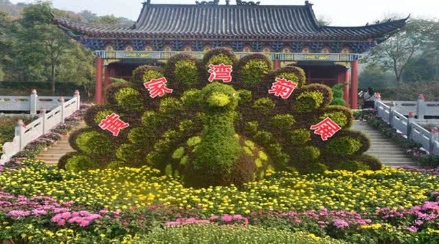 湖北度假村项目,湖北度假村航拍