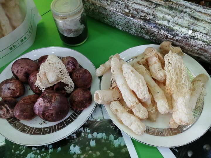 14万一斤的冬虫夏草,14万元一斤的冬虫夏草