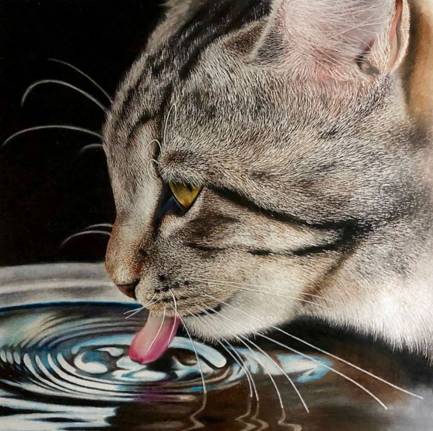 失明女孩铅笔画,保护视力守护心灵素描画