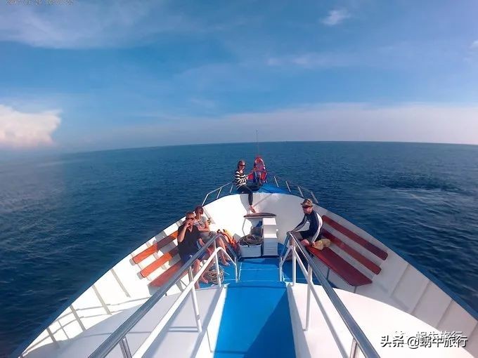 巨蜥像退休大爷休闲漫步；满海的活珊瑚、海葵…国家公园开岛啦