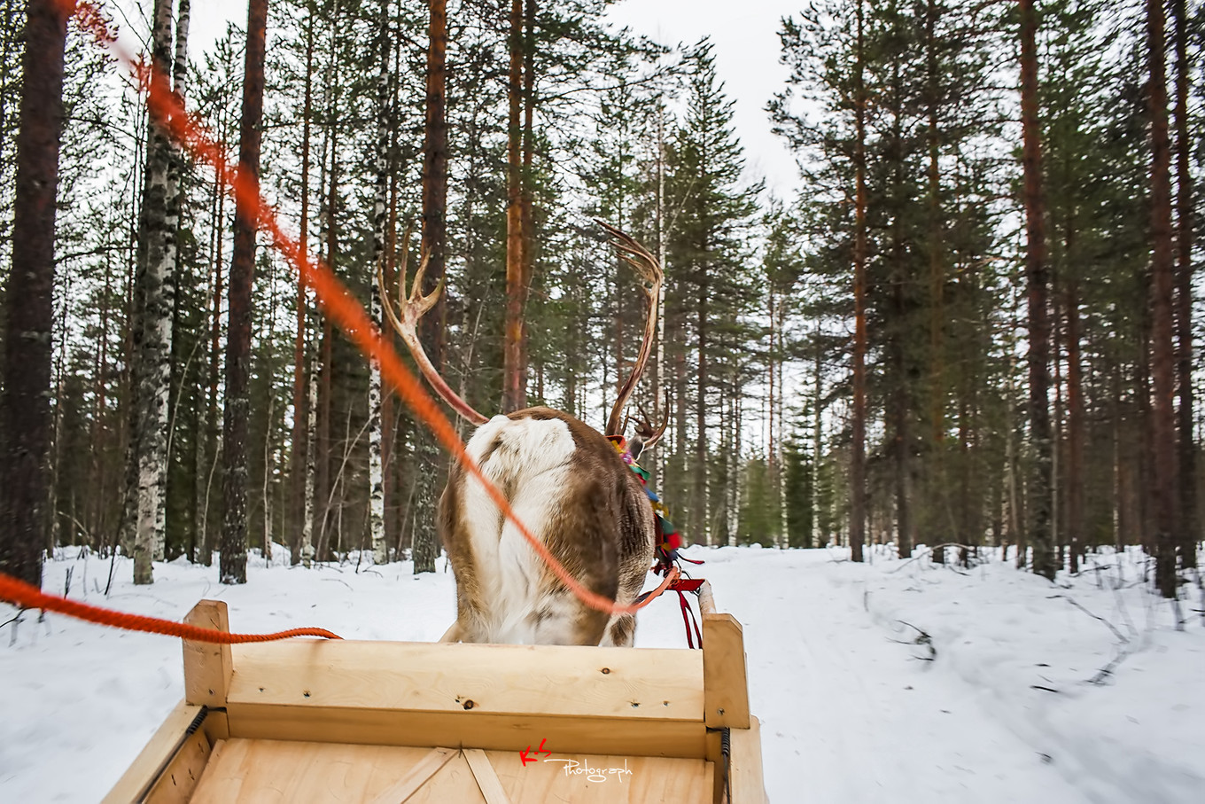 果小姐的慢生活烤鸡腿,果小姐的慢生活泰州