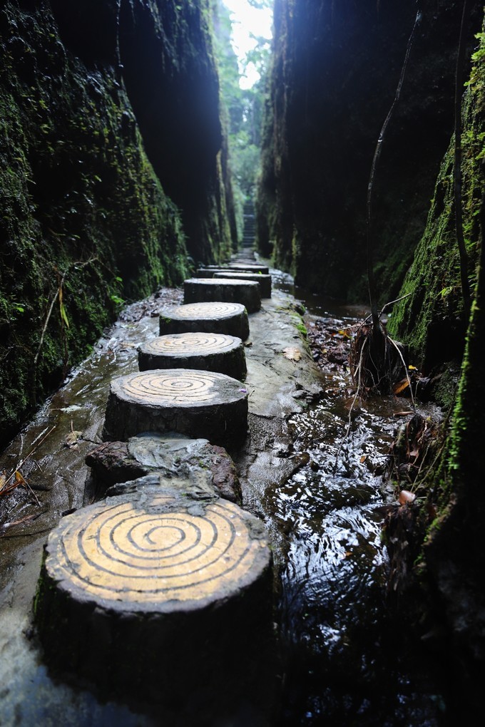 梅州采茶,梅州采茶体验