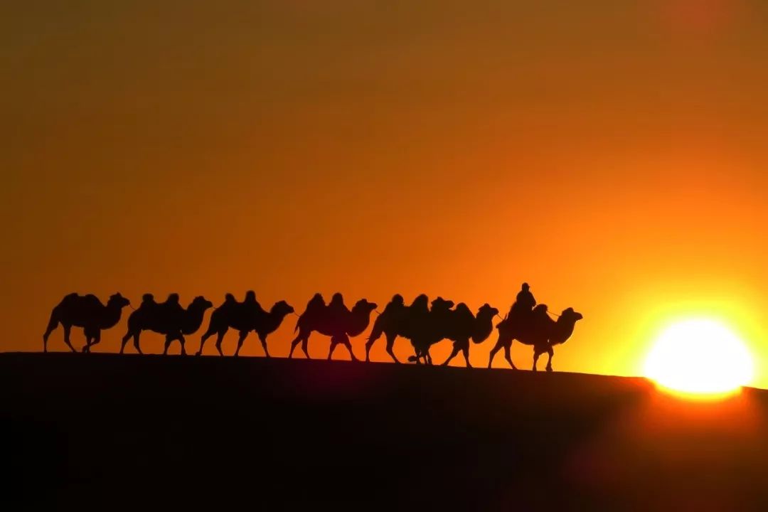 夏天的宁夏风景,夏天的宁夏银川
