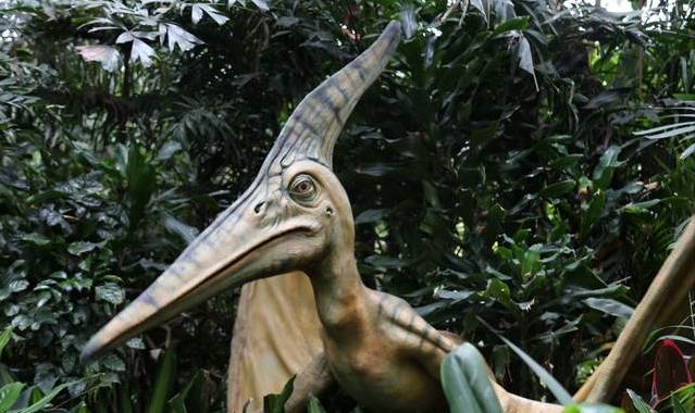 广州长隆四天三晚旅游推荐,4天去广州长隆和珠海看海怎么玩