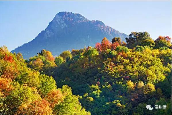 温州168海岸线沿途景点地图,温州60个免费景点大全