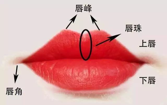 10分钟纹唇技术操作视频,纹唇技术