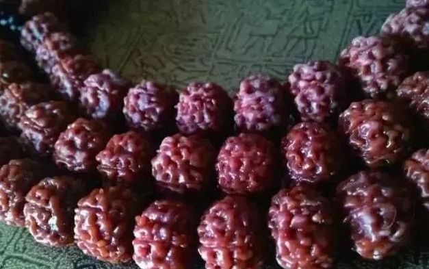 小金刚菩提深度清理,小金刚菩提怎么清理才干净