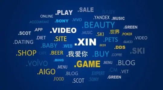 一级域名二级域名三级域名的区别,通用顶级域名和地理顶级域名
