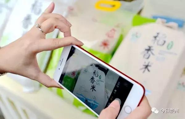 崇州十年的变化,崇州市各乡镇经济排名