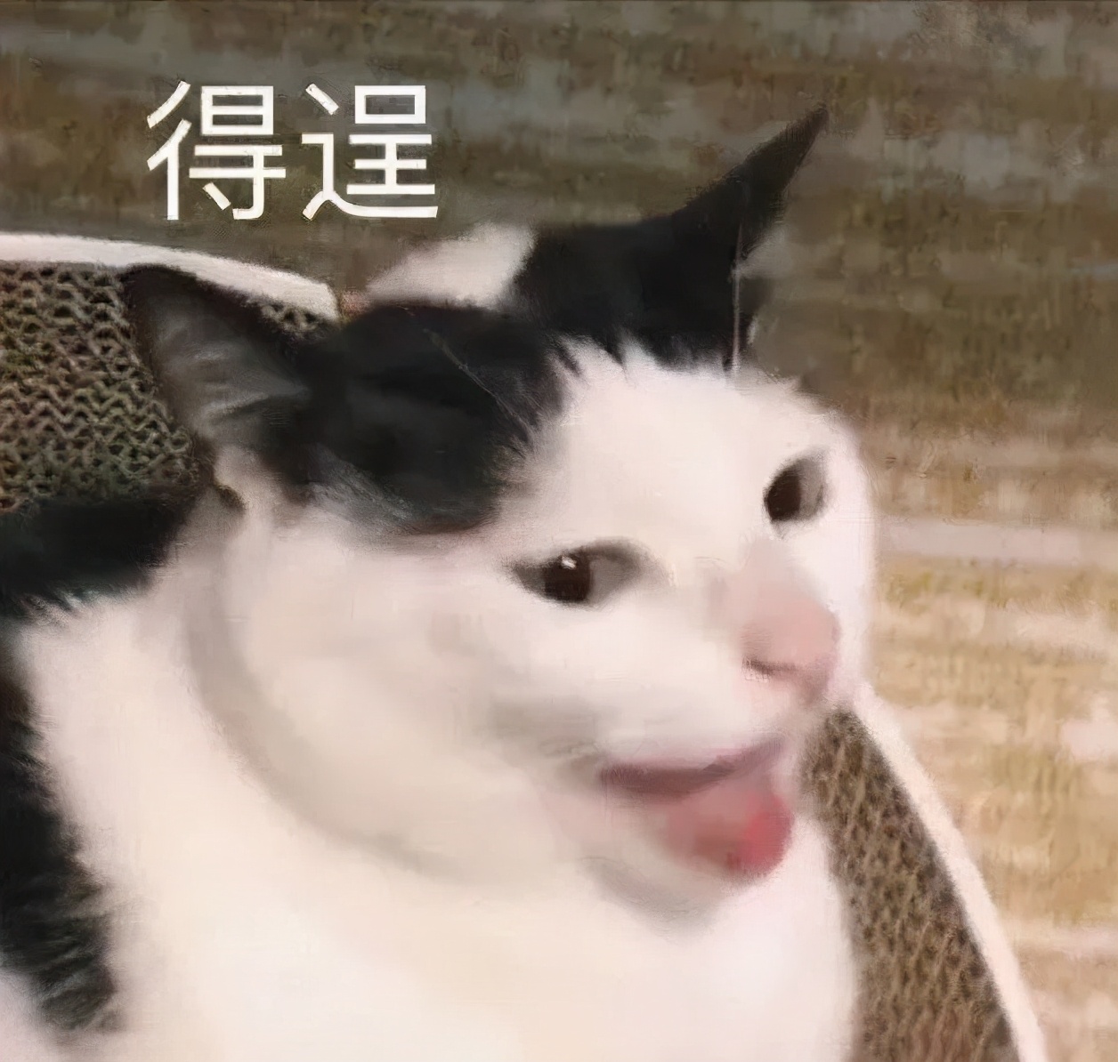 春日对对碰魅力香水,春日气息香水推荐