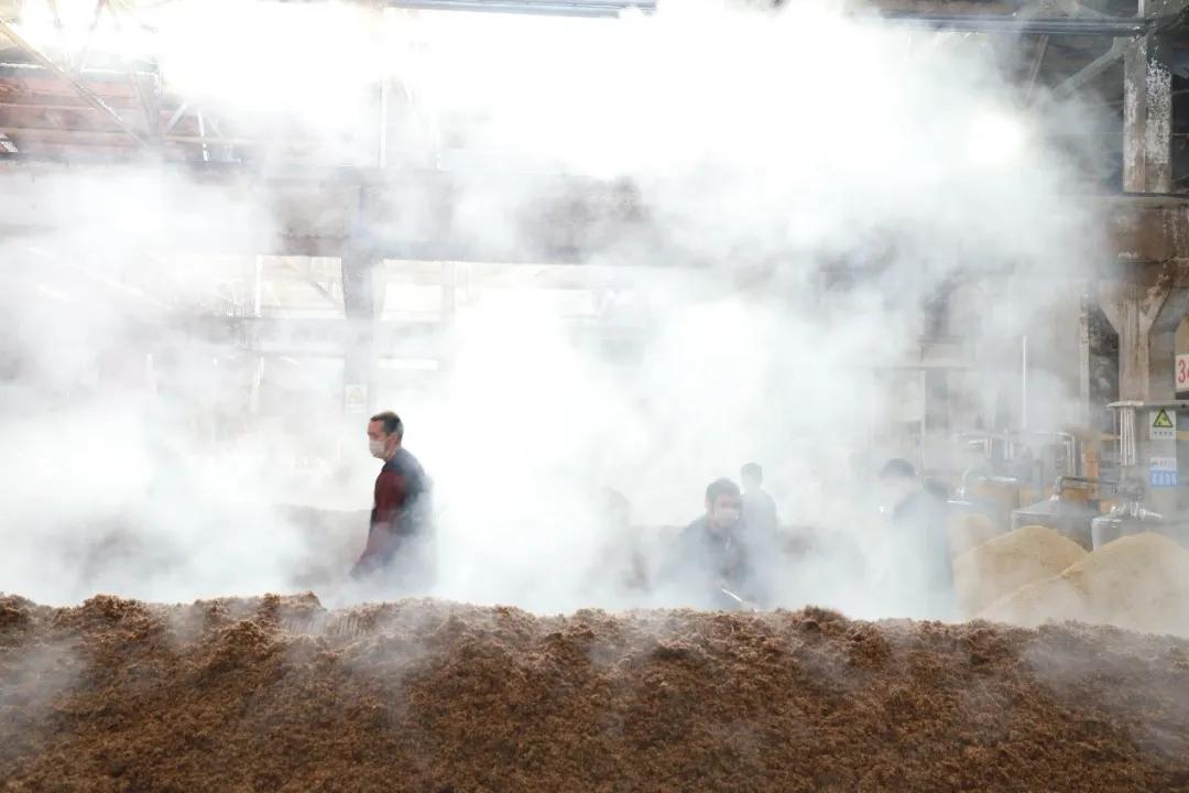 疫情下的五粮液酿酒工：干劲更大，更加珍惜工作了