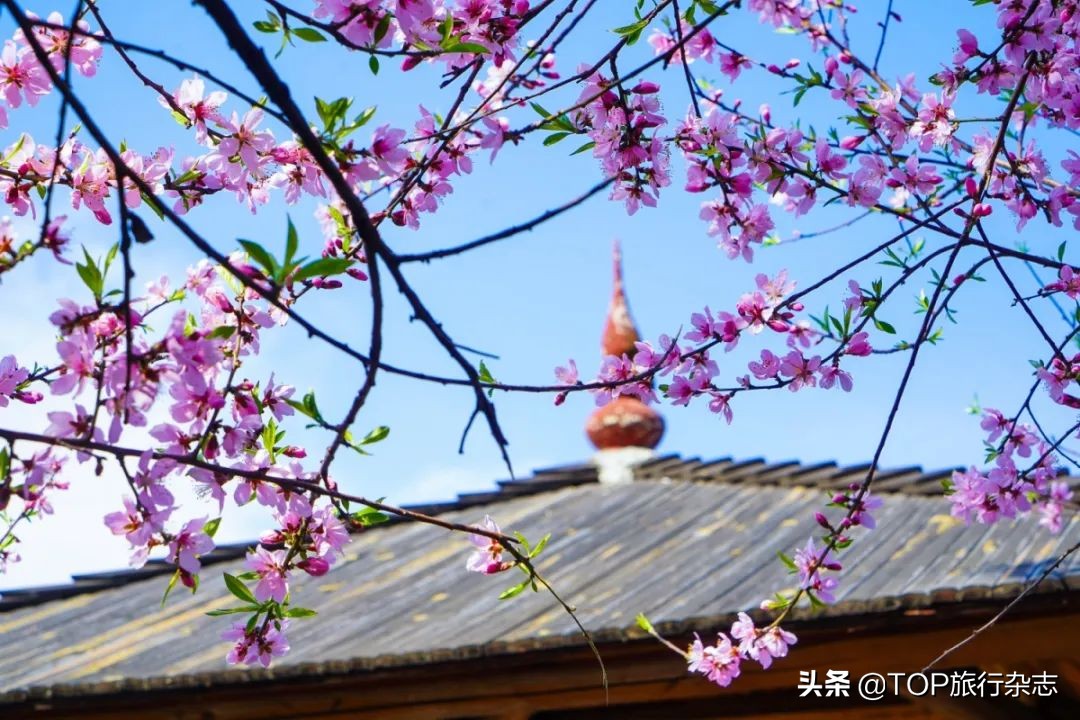 武汉啊武汉歌词,武汉啊武汉歌曲作者