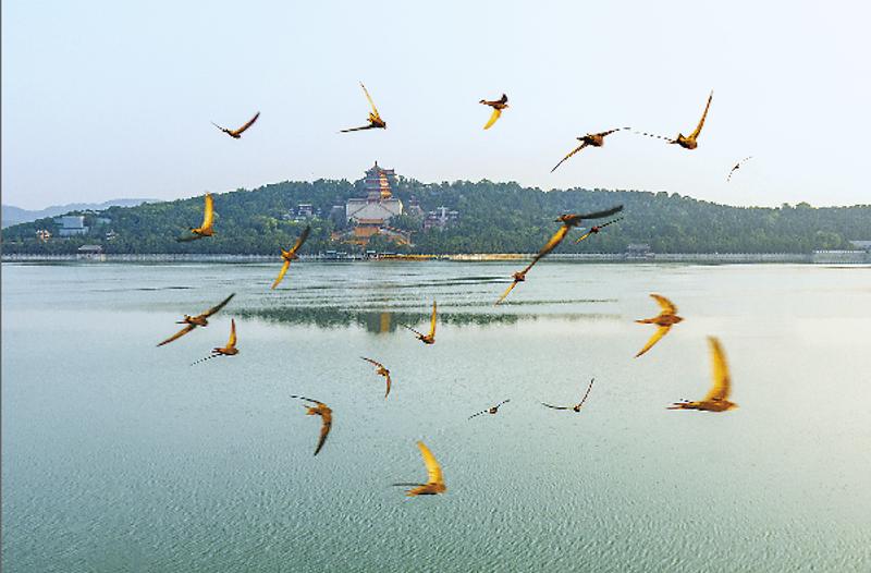 林草科普视频,林草科普