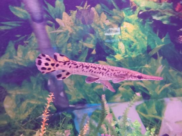 常州金鹰海洋世界门票,常州海洋金鹰海洋世界