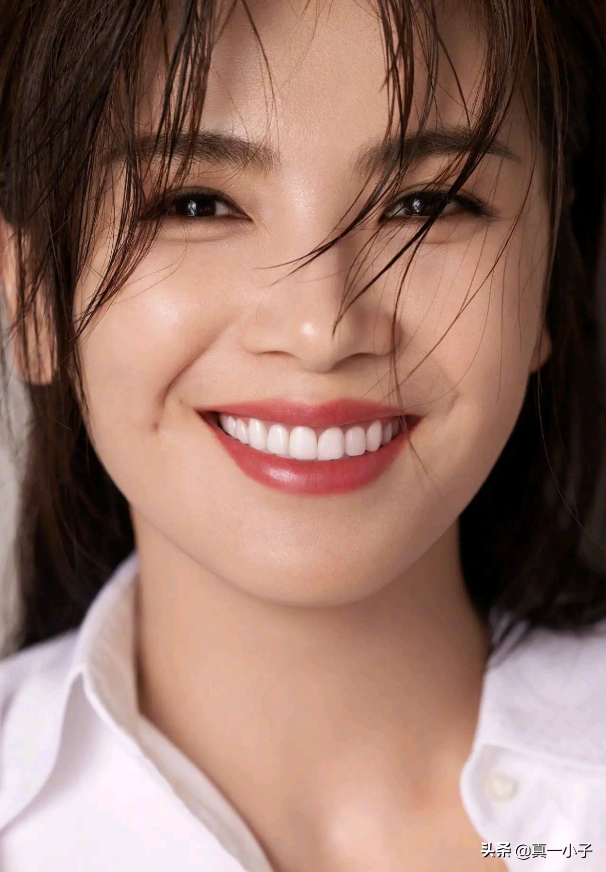 刘涛类型的女明星,刘涛堪称娱乐圈最成功女艺人