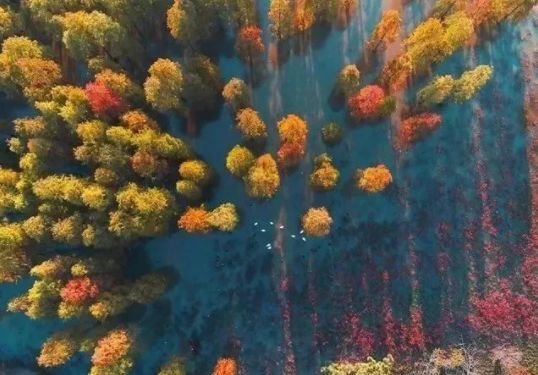 南京免费的公园,太全了全国旅游简图