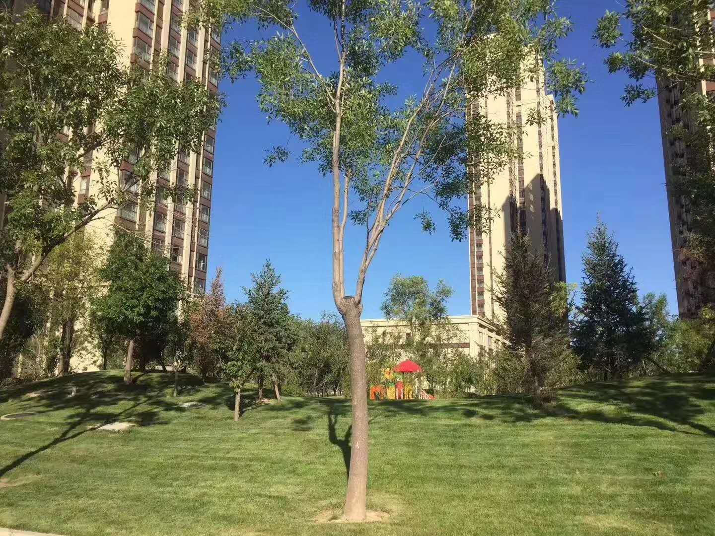 北京东二环富力城,北京副中心富力城