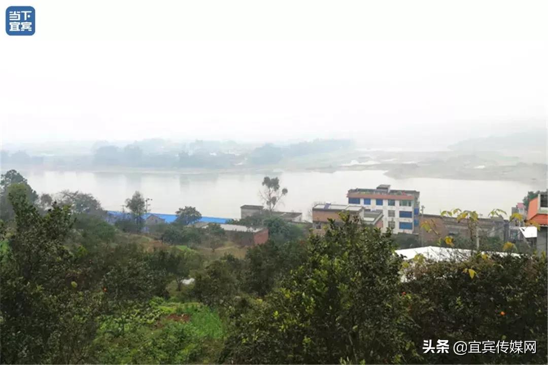 2块钱坐一次轮船,2块钱轮渡游览千亿夜景