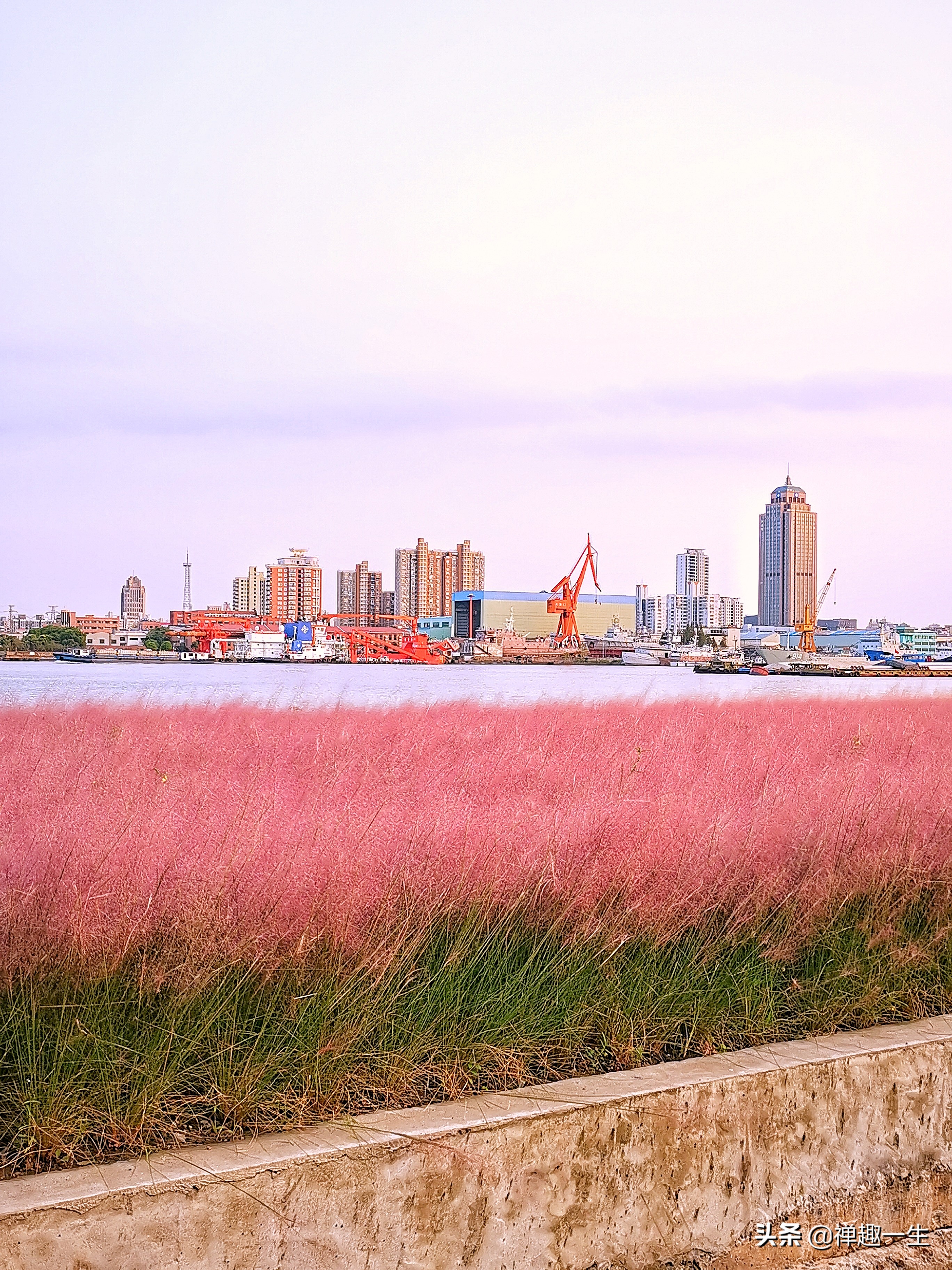 上海075两栖攻击舰在哪个区,075两栖攻击舰在上海哪里