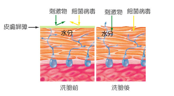 脸部深层清洁利弊,深度清洁不伤脸