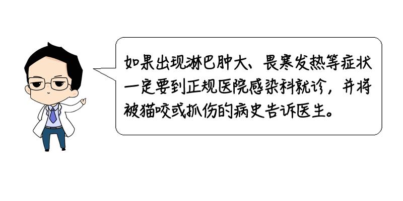被流浪猫咬了24小时有什么事,被感染新冠的猫咬了一口