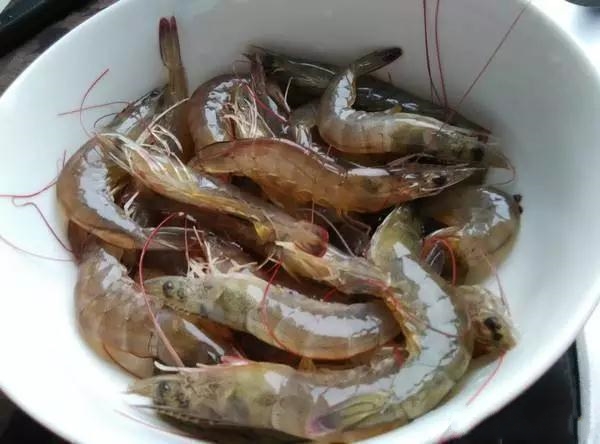 白水煮虾一般要煮多长时间,白水煮虾水开后还要煮几分钟