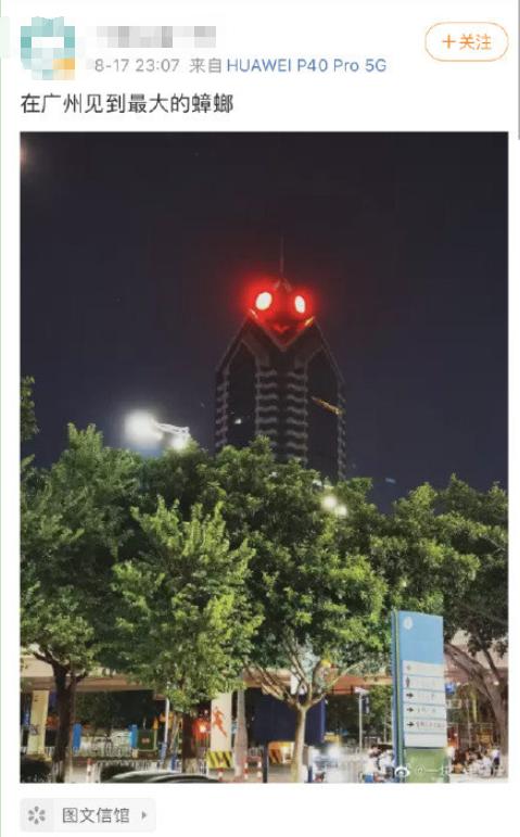 南方蟑螂和北方蟑螂对比恶搞,南方大蟑螂吓哭北方人