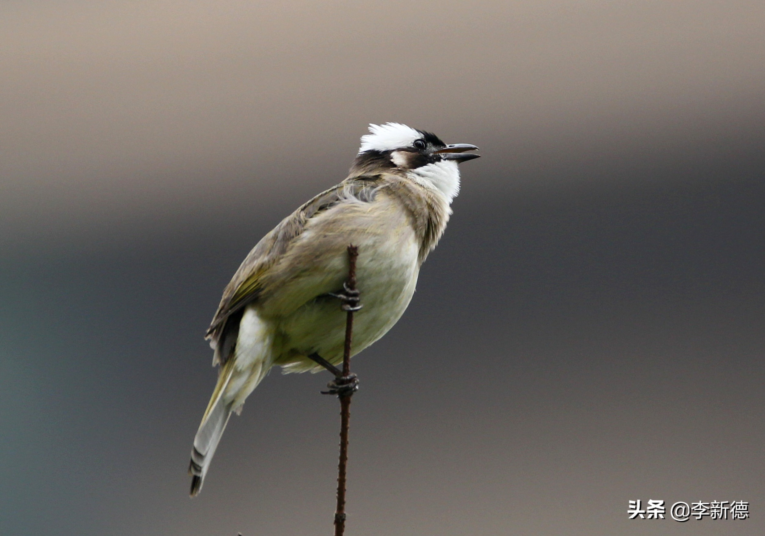 佳能相机5d3拍视频用哪个档位,佳能5d3适马2470
