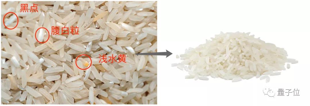 中科大博士带头搬砖！这家上市公司其实是最隐秘的AI高手