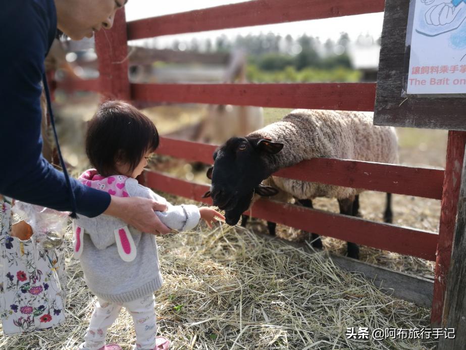 豆瓣9.1分看哭百万人,豆瓣评分9.0却很少有人看懂