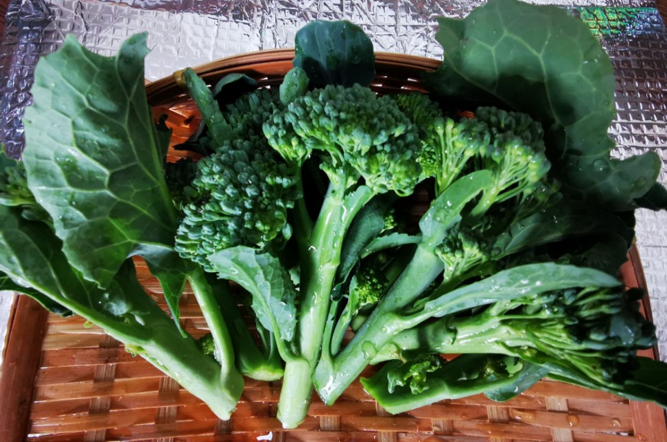 第一次弄海参视频,第一次煮海参