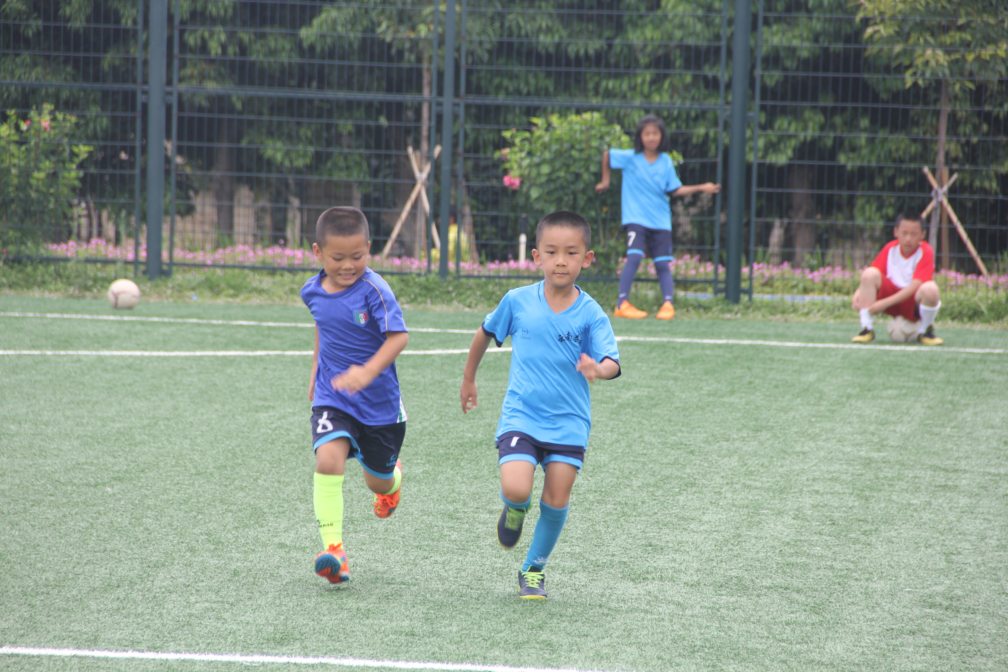 暑假训练营通知,暑假集训营开始报名通知