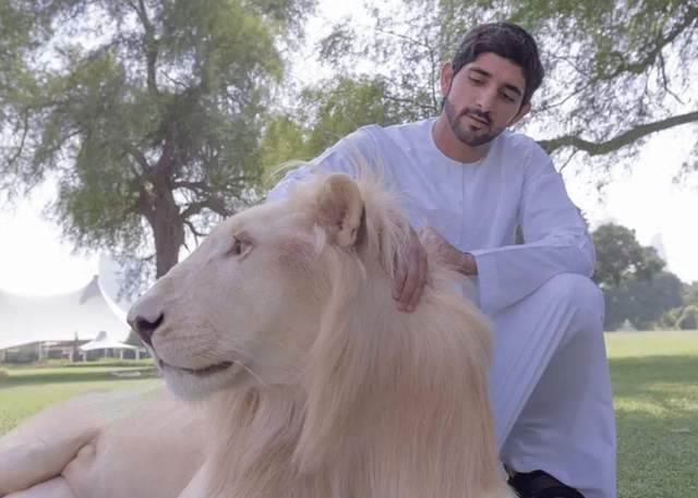 哈曼丹王子迪拜贵族圈的典范人物,世界上最帅的男人哈曼丹