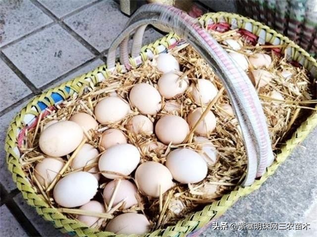 承德德润祥家庭农场,承德市德润祥家庭农场