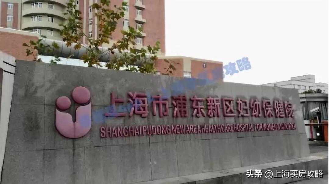 爱建园小区最好的楼盘,上海碧云爱建园复式