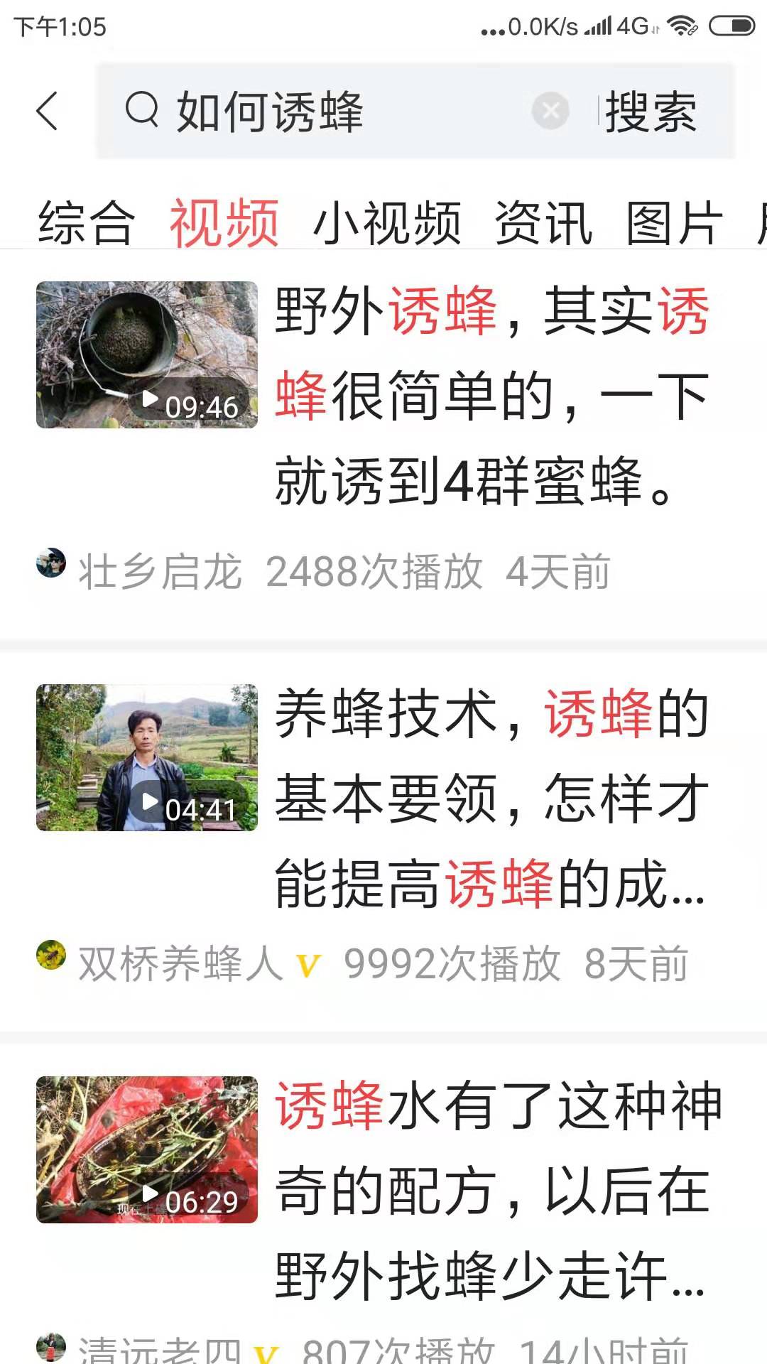 如何养蜜蜂的最佳方法,如何养蜜蜂教程视频