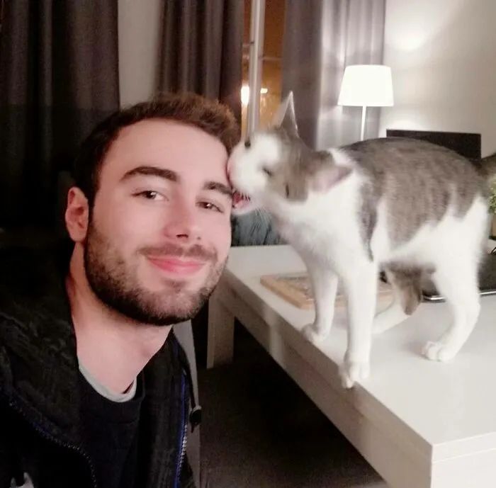 卑微的两脚兽，欢迎来到喵星人的世界